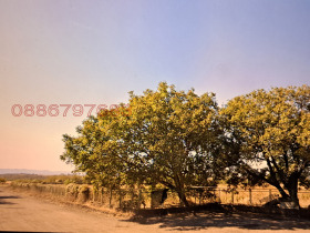    | Imot.bg    8