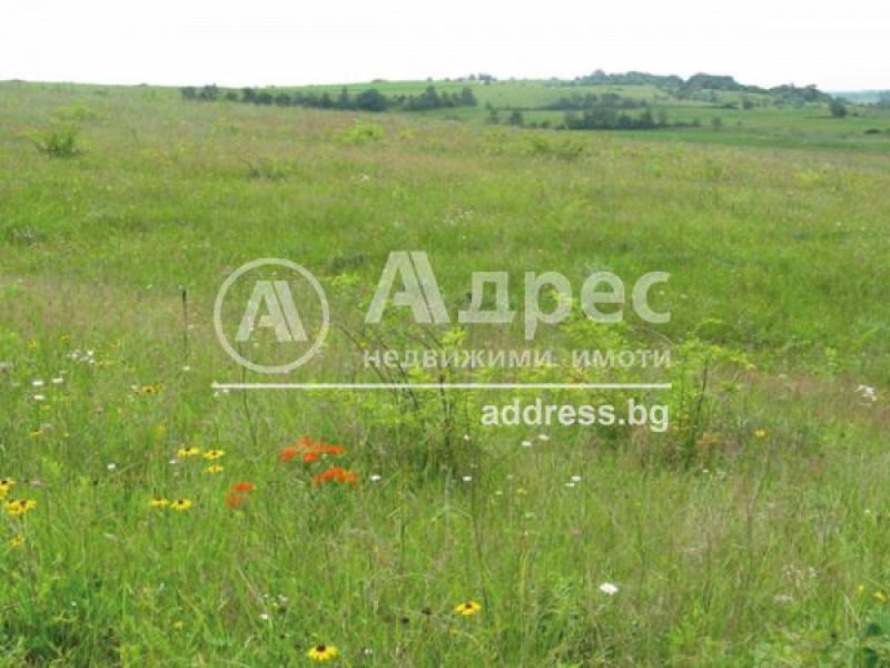 Продава  Парцел, град София, с. Кривина •  120 000 EUR • ID 56199774 — holmes.bg - [1] 
