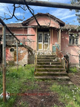 ����� ������� ����,�. �������, ������ �������