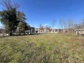 ����� ������� ������,�. ��������, ������ �����