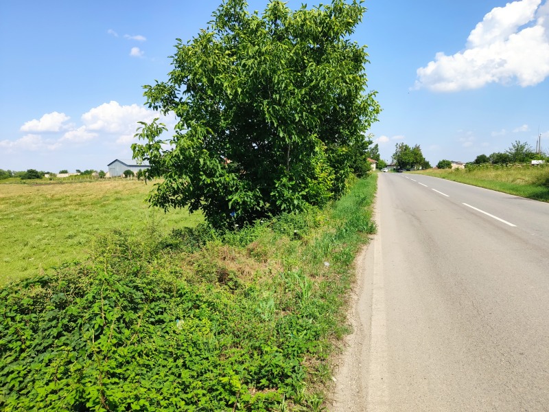 Eladó  Cselekmény régió Stara Zagora , Zagore , 8436 négyzetméter | 91011270 - kép [4]