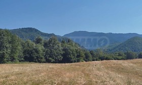 ������� ������ | Imot.bg � ����� ������ 7
