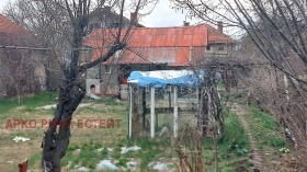 ����� ������� ������,�. ����� ����, ������ �����