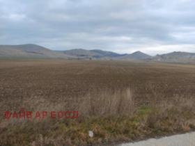 Продажба на земеделски земи в област Пазарджик - изображение 2 