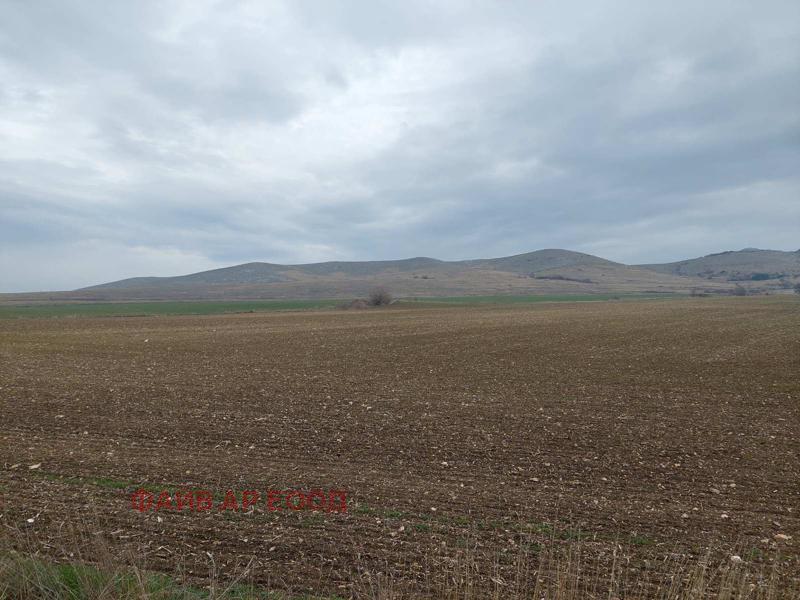 Продава  Земеделска земя област Пазарджик , с. Синитово , 21 дка | 75522303 - изображение [7]