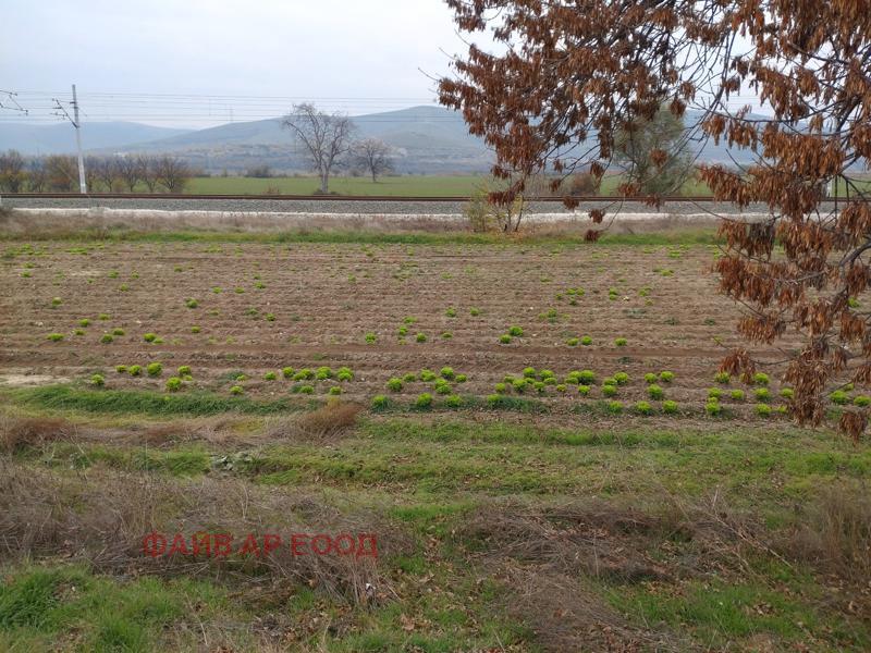 Продава  Земеделска земя област Пазарджик , с. Синитово , 21 дка | 75522303 - изображение [2]