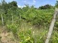 Продава ПАРЦЕЛ, град Варна, м-т Зеленика • 57900 € • 42272752 2