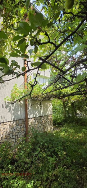 ������� ���� | Imot.bg � ����� ������ 15