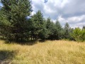 Продава ПАРЦЕЛ, гр. Разлог, област Благоевград, снимка 1