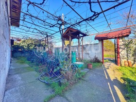 ������ ������� ����