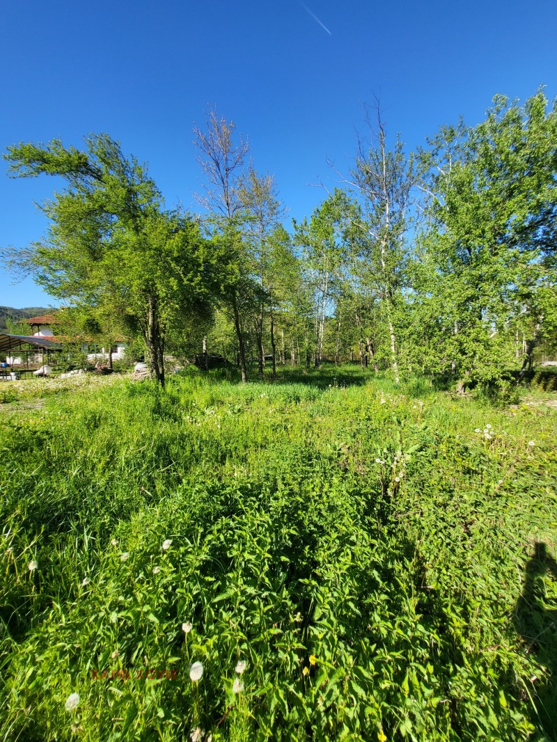In vendita  Complotto regione Lovech , Troian , 3217 mq | 47104951 - Immagine [8]