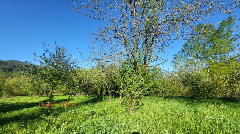 In vendita  Complotto regione Lovech , Troian , 3217 mq | 47104951 - Immagine [3]