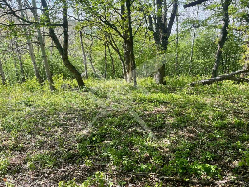 Продава ПАРЦЕЛ, гр. София, в.з.Люлин, снимка 2 - Парцели - 52353730