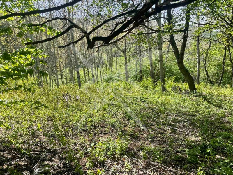 Продава ПАРЦЕЛ, гр. София, в.з.Люлин, снимка 4 - Парцели - 52353730