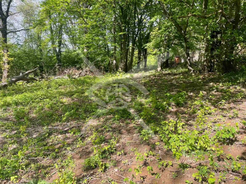 Продава ПАРЦЕЛ, гр. София, в.з.Люлин, снимка 3 - Парцели - 52353730