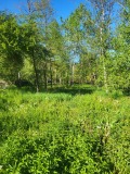 Продава ПАРЦЕЛ, област Ловеч, гр. Троян • 49500 € • 18066022 — Holmes.bg