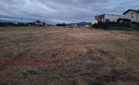 ����� ������� ������,���� �����, �. �����