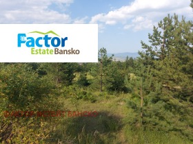 Land Bansko, region Blagoewgrad 7