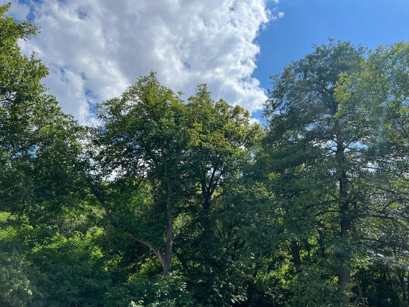 Προς πώληση  Μεζονέτα Σοφηια , Βοιανα , 363 τ.μ | 22196492 - εικόνα [15]