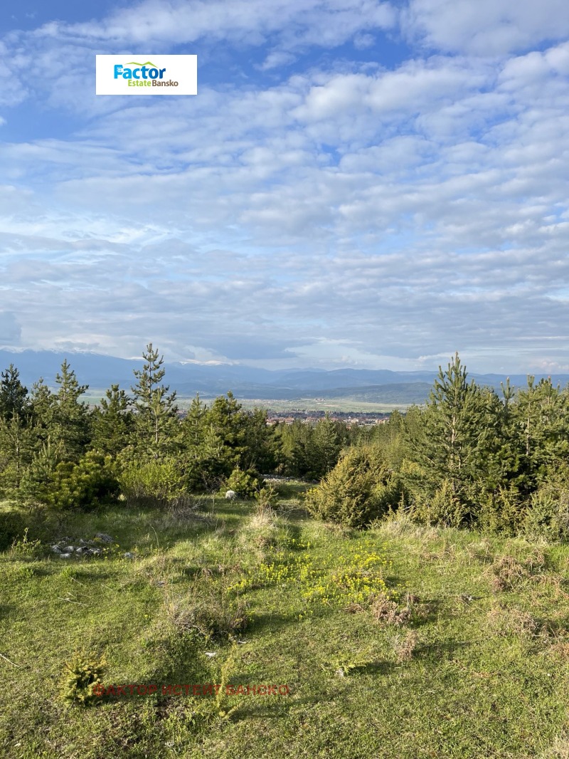 De vânzare  Teren regiunea Blagoevgrad , Bansco , 6516 dka | 48316811 - imagine [17]