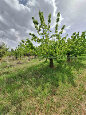 Plot Brestnik, region Plovdiv 4