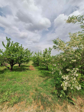 Komplott Brestnik, region Plovdiv 6