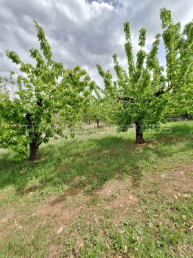 Plot Brestnik, region Plovdiv 7