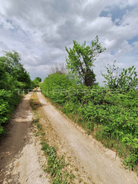 Spiknutí Brestnik, oblast Plovdiv 8