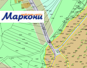 ����� ������� ������,���� �����, �������� ������