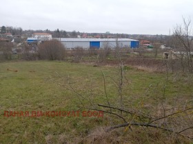 ������ ������� ������