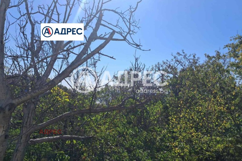 Te koop  Verhaallijn Varna , Sveti Nikola , 1661 m² | 39691339 - afbeelding [4]