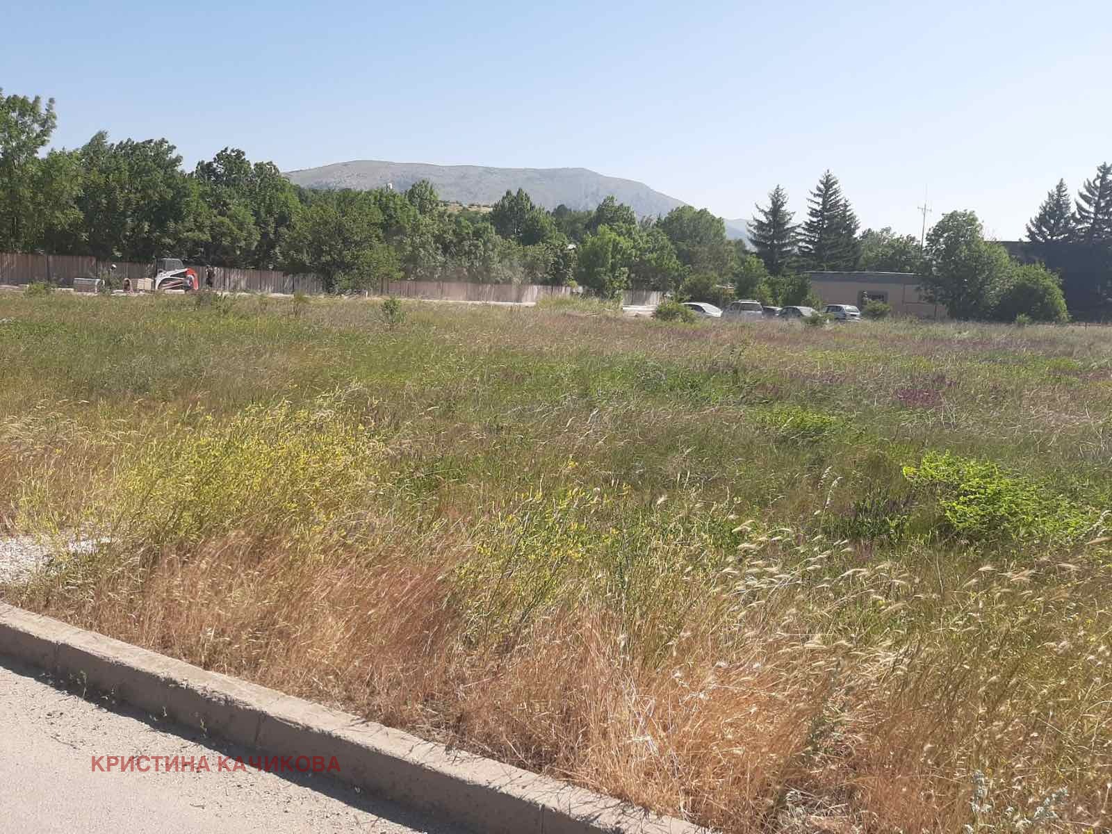 Продава ПАРЦЕЛ, гр. Драгоман, област София област, снимка 3 - Парцели - 53954673