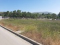 Продава ПАРЦЕЛ, област София, гр. Драгоман • 60000 € • 74374476 — Holmes.bg
