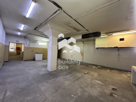 ����� ������� �����,���� �������, �������