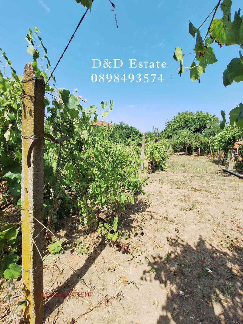 Продава  Къща област Стара Загора , с. Елхово (Николаево) , 136 кв.м | 59366826 - изображение [7]