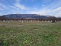 Продава ЗЕМЕДЕЛСКА ЗЕМЯ, с. Коняво, област Кюстендил, снимка 1