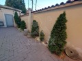Продава КЪЩА, град Пловдив, Прослав • 800000 € • 71616911 — Holmes.bg