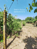 Продава КЪЩА, област Стара Загора, с. Елхово (Николаево) • 49500 лв. • 62728133 — Holmes.bg