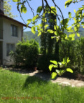 Продава  Къща област Кюстендил , гр. Рила , 120 кв.м | 56096087 - изображение [2]