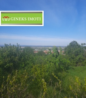 ������ ������� ������