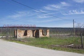 ����� ������� ������,�. ����������, ������ ���������