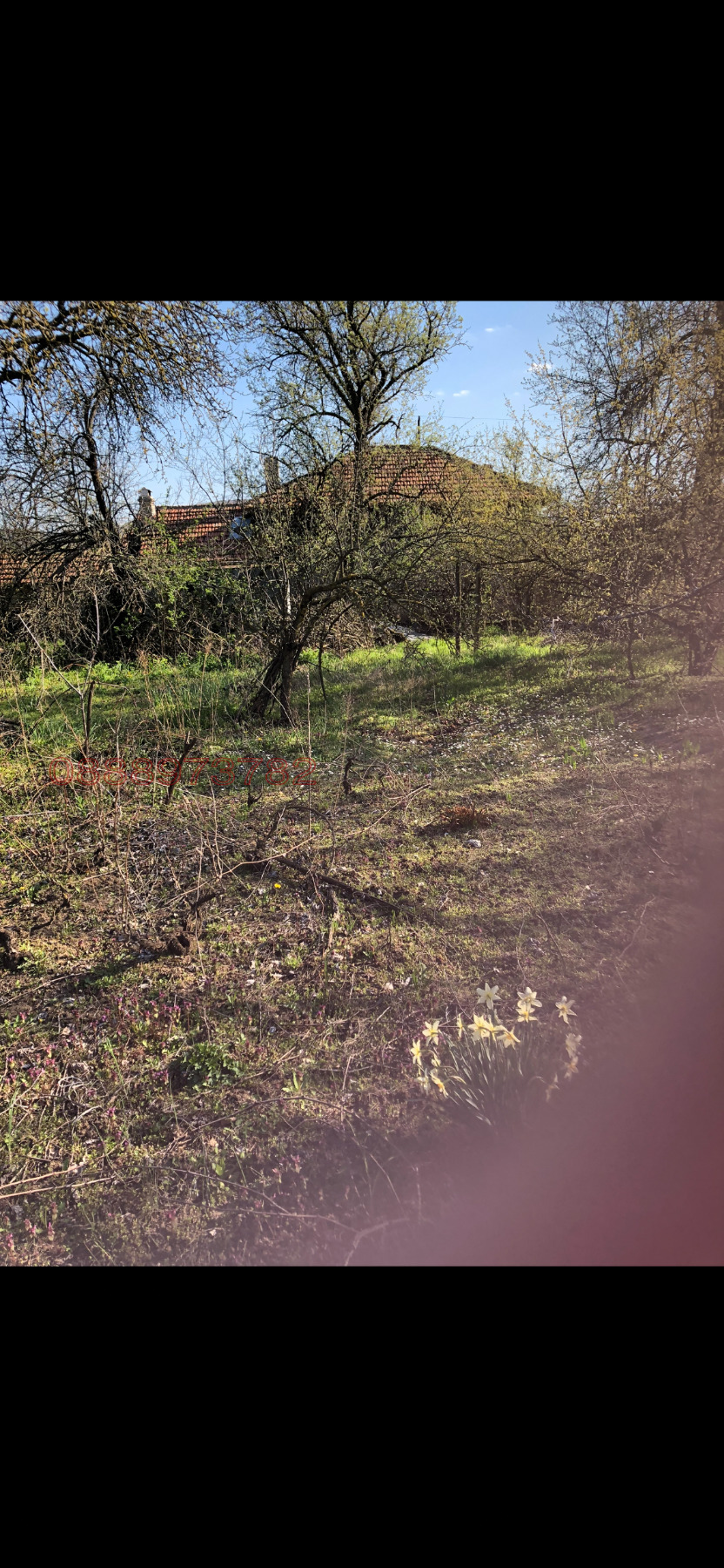 Продава ПАРЦЕЛ, с. Блъсково, област Варна, снимка 3 - Парцели - 55155143