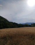 Продава ПАРЦЕЛ, с. Слатино, област Кюстендил, снимка 2