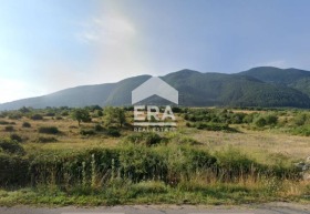 Плот Сапарева банја, регион Ћустендил
