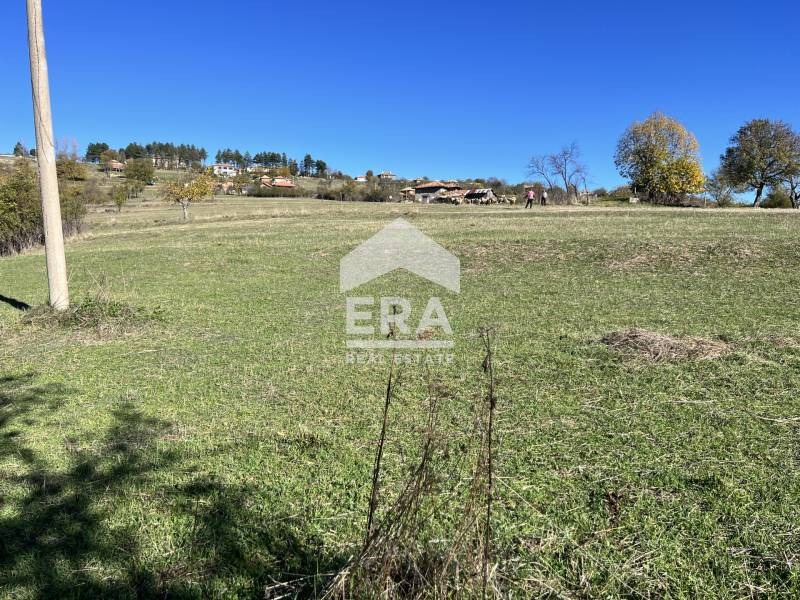 Продава  Парцел област Търговище , с. Таймище , 4744 кв.м | 73100940 - изображение [5]