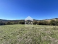 Продава ПАРЦЕЛ, област Търговище, с. Таймище • 75900 лв. • 25034629 — Holmes.bg