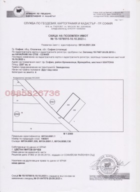 ����� ������� ������,���� �����, ���������