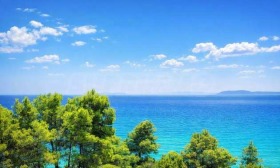 ������� ������ | Imot.bg � ����� ������ 2