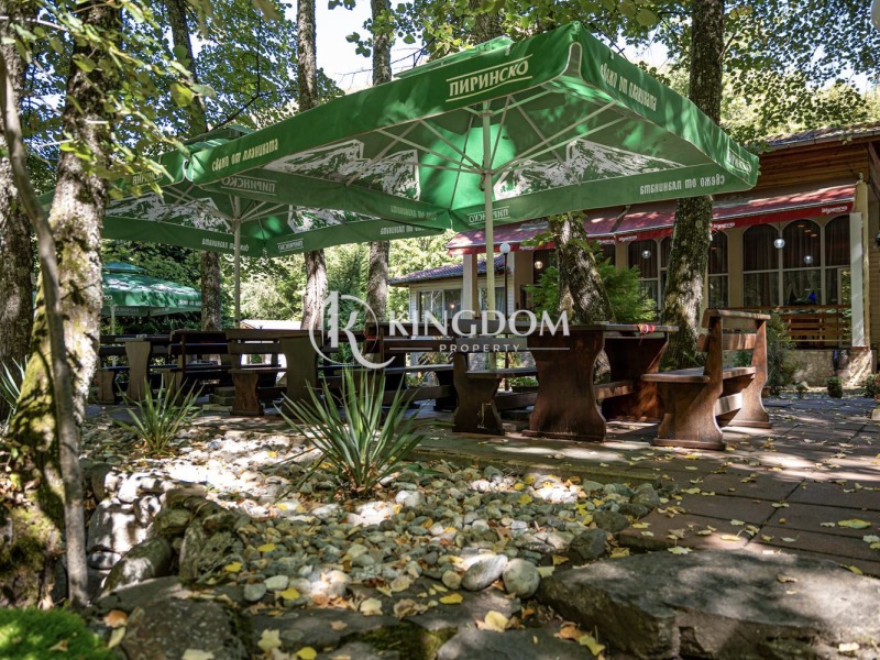 Продава БИЗНЕС ИМОТ, гр. Рила, област Кюстендил, снимка 11 - Други - 51878532