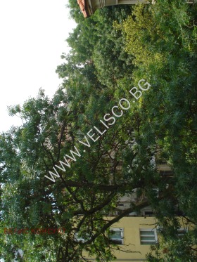    2- | Imot.bg    7